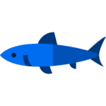 Blue shark icon